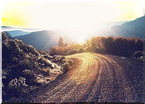 A road lit by the sun