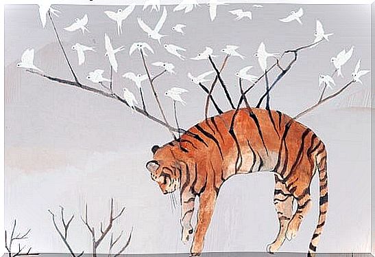 Tiger carried by birds