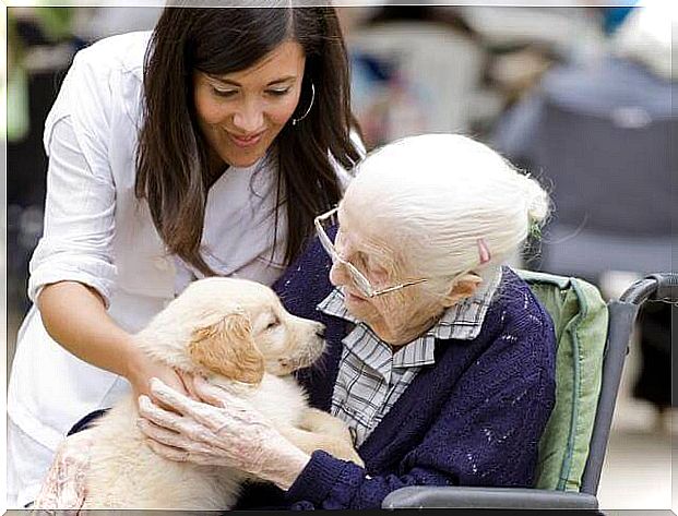 Alzheimer's patient with service dog