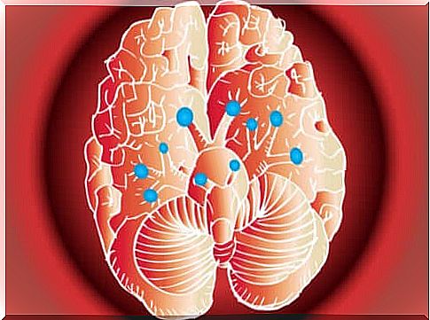 Our amazing cranial nerves and how they work