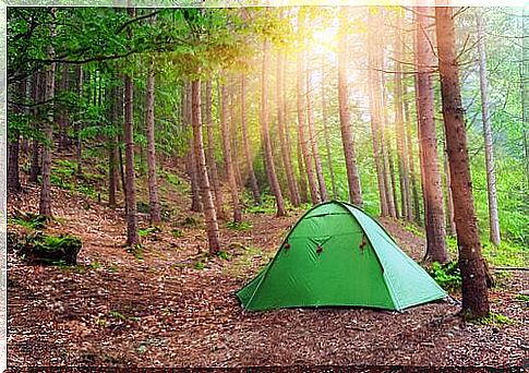 A tent in the woods, as a reference to the Robber's cave experiment