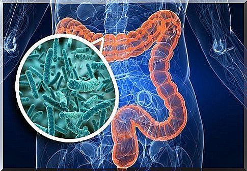 Psychobiotics and intestinal flora